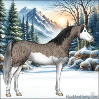 Horse Color:Bay Ice Dun Splash