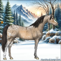 Horse Color:Buckskin Ice 