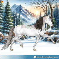Horse Color:Buckskin Ice Splash 