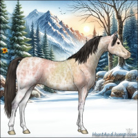 Horse Color:Buckskin Ice 