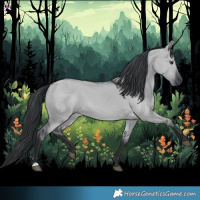 Horse Color:Grullo Chinchilla 