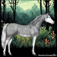 Horse Color:Silver Grullo Chinchilla Splash 