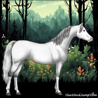 Horse Color:Silver Bay Chinchilla Dun Splash