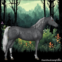 Horse Color:Silver Black Chinchilla 