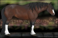 Horse Color:Brown 