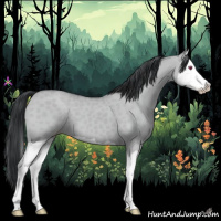 Horse Color:Classic Champagne Chinchilla Dun Splash 