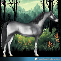 Horse Color:Blue Onyx Chinchilla Brindle