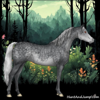 Horse Color:Silver Black Chinchilla 