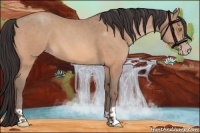 Horse Color:Amber Champagne 