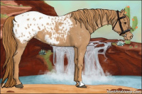 Horse Color:Red Roan Appaloosa 