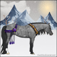 Horse Color:Blue Roan