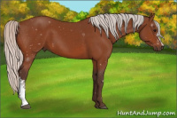 Horse Color:Watercolor Silver Bay