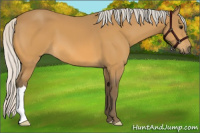 Horse Color:Silver Buckskin 