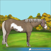 Horse Color:Silver Smoky Black Frame