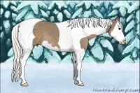 Horse Color:Silver Grullo Splash Tobiano