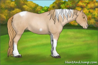 Horse Color:Red Roan Pearl Tobiano Frame 