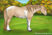 Horse Color:Red Roan Pearl Tobiano Frame 