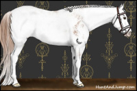 Horse Color:Chestnut Sabino
