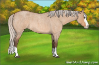 Horse Color:Silver Brown Roan Dun Splash 
