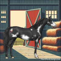 Horse Color:Black Frame  and Black Frame 