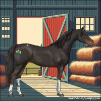 Horse Color:Liver Chestnut Tobiano Varnish Rabicano 