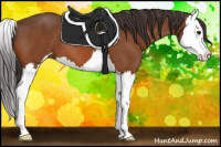 Horse Color:Buckskin Sabino Splash 