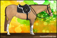 Horse Color:Sable Cream Champagne Appaloosa 