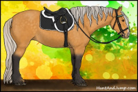 Horse Color:Silver Buckskin 