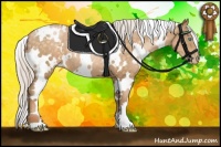 Horse Color:White Spotted Silver Buckskin Pearl 