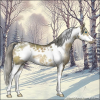 Horse Color:White Spotted Chocolate Palomino Dun Mushroom Splash Frame 
