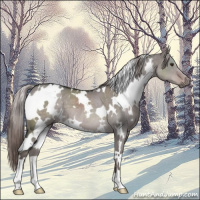 Horse Color:Platinum White Spotted Liver Red Dun 