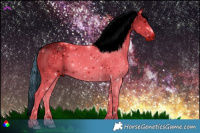 Horse Color:ERROR: UNKNOWN ANOMALY