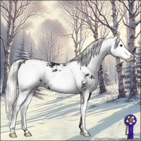 Horse Color:Liver Chestnut Mushroom Sabino 