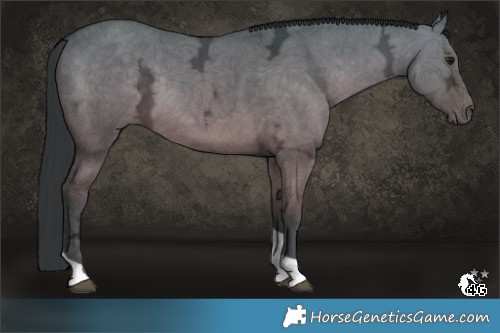 Horse Color:Brown Ice Dun Tobiano Rabicano 
