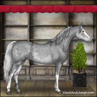 Horse Color:White Spotted Silver Black Chinchilla Ice 