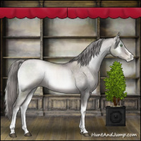 Horse Color:Platinum White Spotted Chocolate Palomino Pearl Onyx 