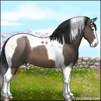 Horse Color:Brown Dun Sabino Splash Tobiano 