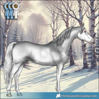 Horse Color:Silver Blue Onyx Chinchilla Splash 
