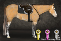 Horse Color:Red Dun Roan Sabino Splash  and Buckskin Sabino 