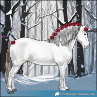 Horse Color:Bay Snowcap Rabicano 
