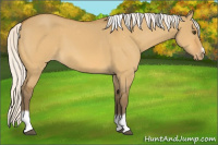 Horse Color:Silver Buckskin Dun Tobiano Frame Varnish 
