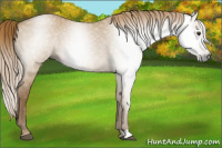 Horse Color:Gray Red Dun Roan 