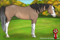 Horse Color:Brown Roan Dun Splash 