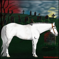 Horse Color:Gray Bay Dun Tobiano Rabicano