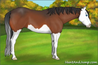 Horse Color:Brown Splash