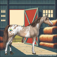 Horse Color:White Spotted Bay Dun Appaloosa 