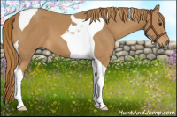 Horse Color:Chestnut Tobiano 