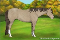 Horse Color:Classic Cream Champagne 