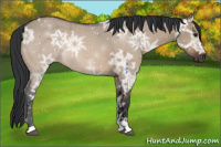 Horse Color:Brown Ice Dun Sabino Rabicano 