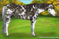 Horse Color:Midnight Bay Ice Onyx Sabino 